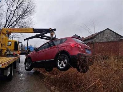 芦淞区楚雄道路救援